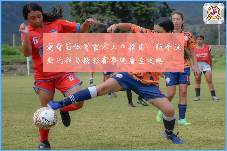爱奇艺体育官方入口指南，新手注册流程与精彩赛事观看全攻略