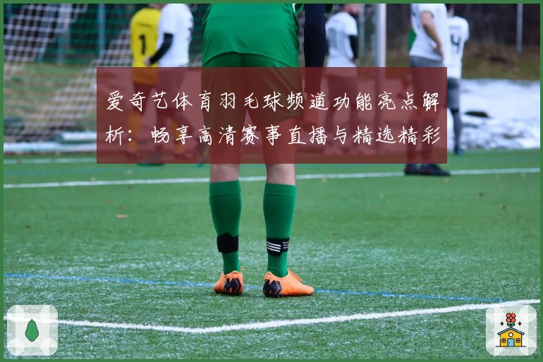 爱奇艺体育羽毛球频道功能亮点解析:畅享高清赛事直播与精选精彩瞬间