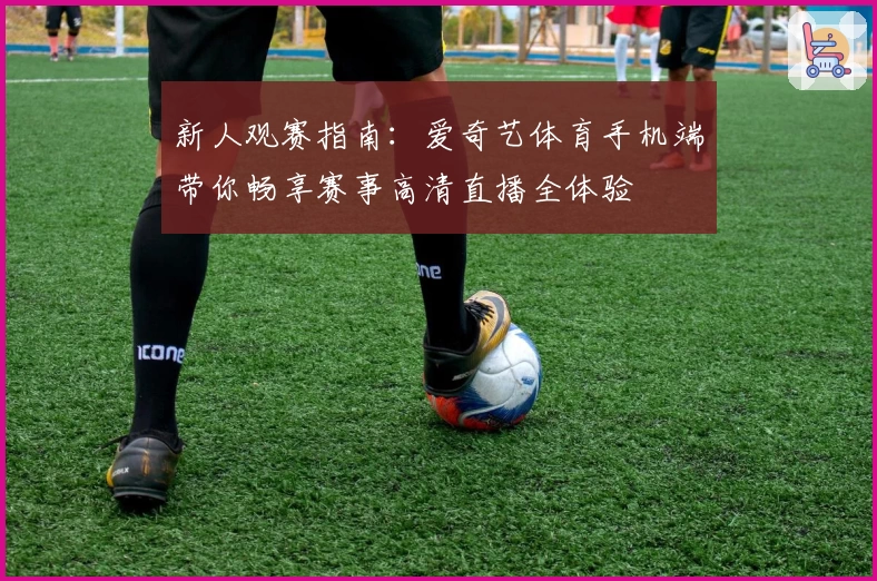 新人观赛指南：爱奇艺体育手机端带你畅享赛事高清直播全体验
