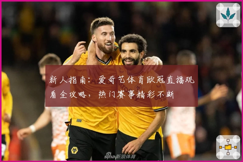 新人指南:爱奇艺体育欧冠直播观看全攻略,热门赛事精彩不断